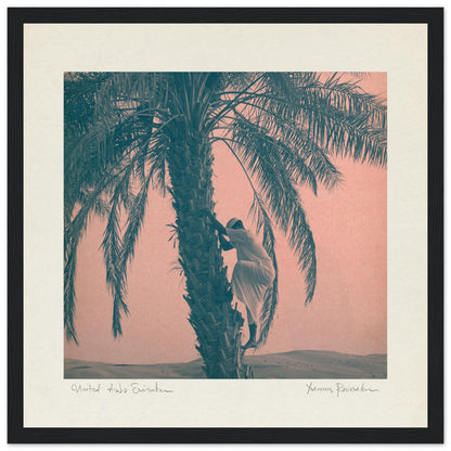 52233b7a-c3cb-4312-9446-a982c71322d8