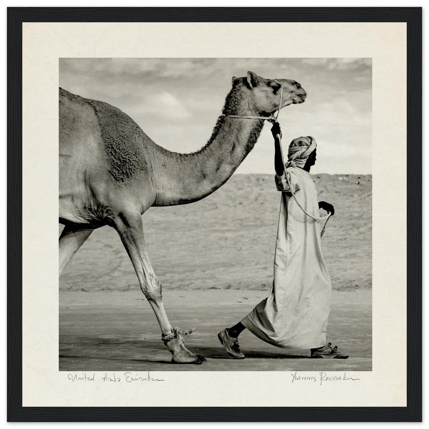 52796b11-d300-4e3e-a422-91cf9045dacc