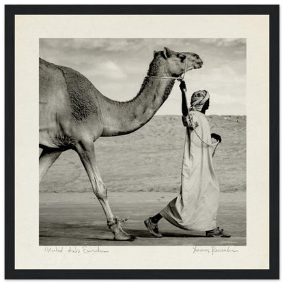 52796b11-d300-4e3e-a422-91cf9045dacc