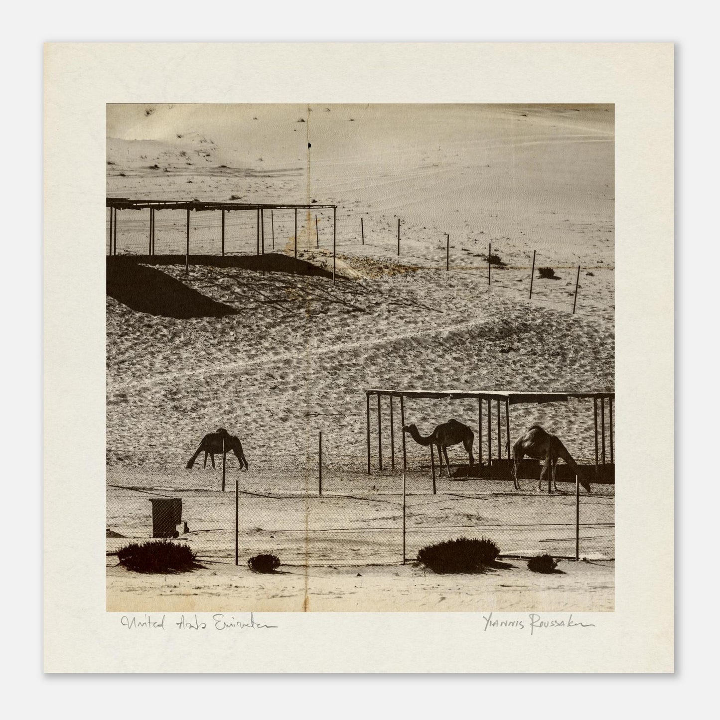 52c5b4c2-9bae-4249-ac61-39fc987ebe67