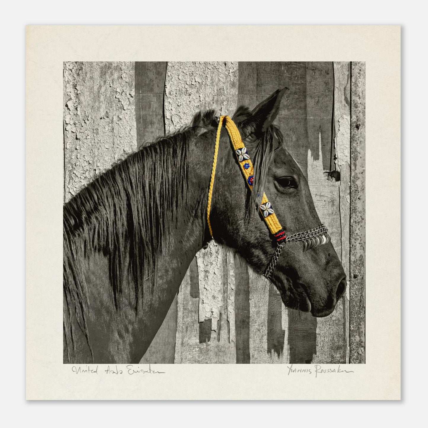 52efc949-480e-4ddb-ba69-a9cef4e70ba0