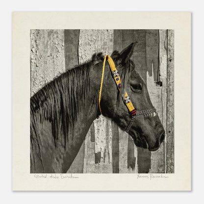 52efc949-480e-4ddb-ba69-a9cef4e70ba0