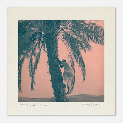 53817312-c83e-4fe7-bdfd-19e26aa5e1af