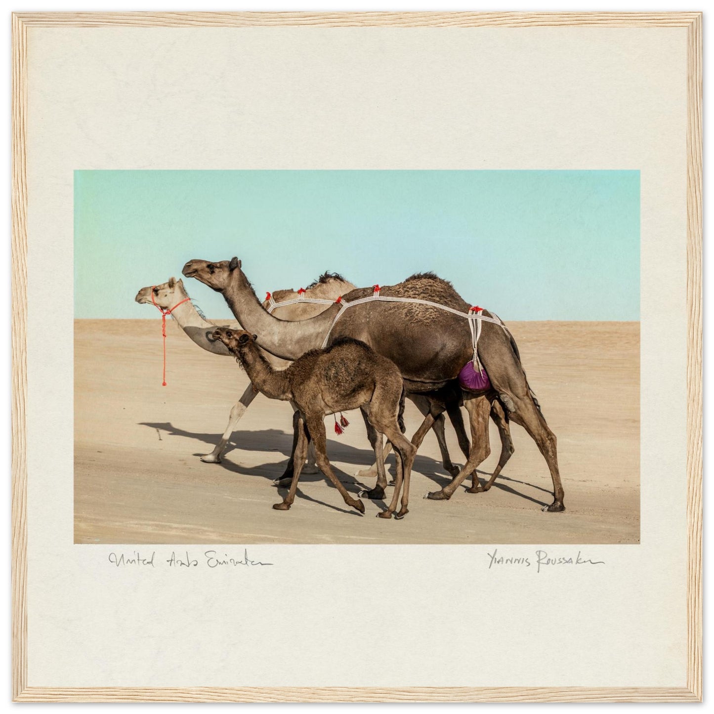 54028872-9525-4512-8b60-df06f1a3f8b5