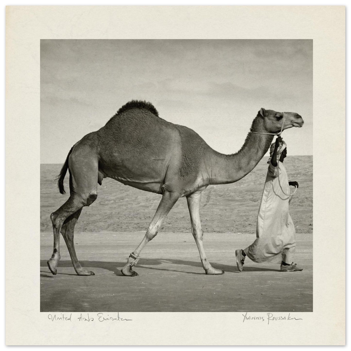 540a3617-c5cf-4bc1-9b4b-aab4c99488f4