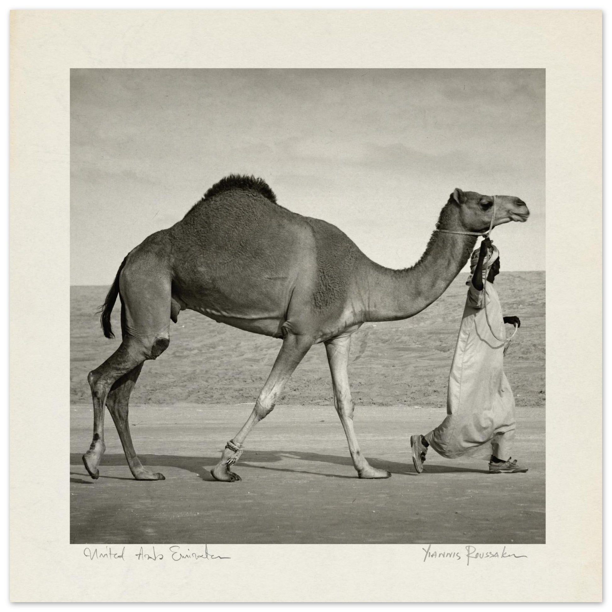 540a3617-c5cf-4bc1-9b4b-aab4c99488f4