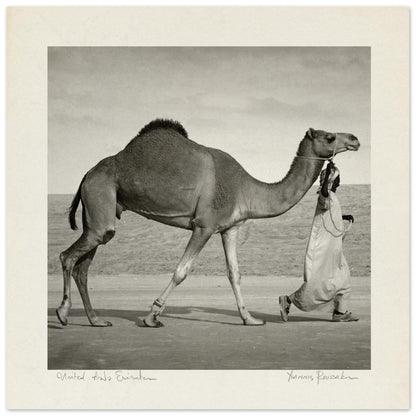 540a3617-c5cf-4bc1-9b4b-aab4c99488f4