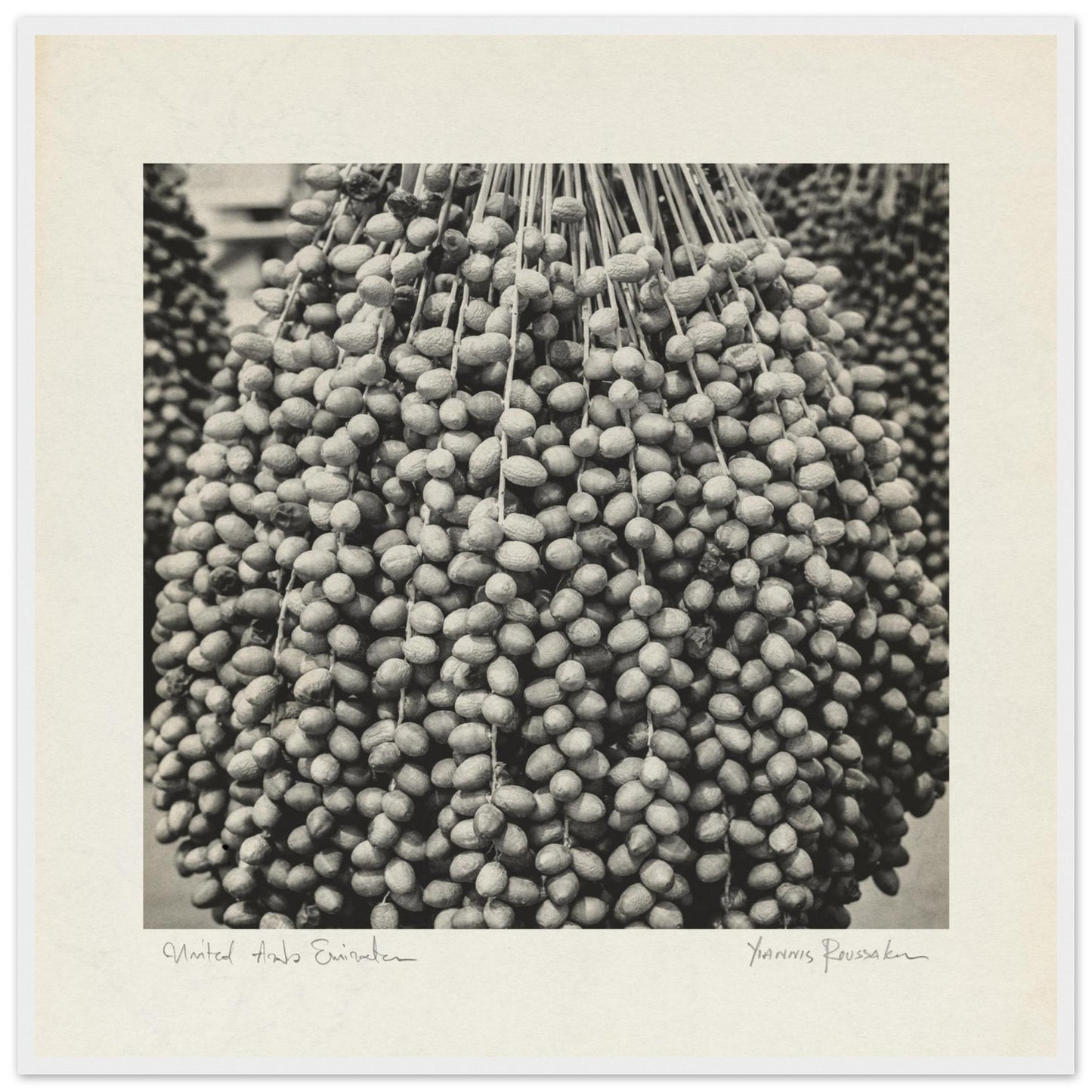 54243235-249e-4ccf-8aa8-95bfb9e78c91