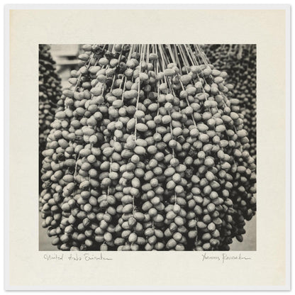 54243235-249e-4ccf-8aa8-95bfb9e78c91