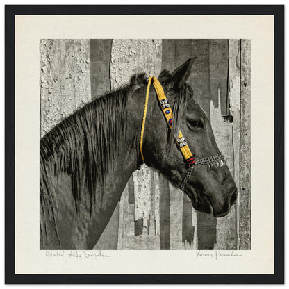 5472cb80-74f7-4b4e-8bf9-b0763986e73e