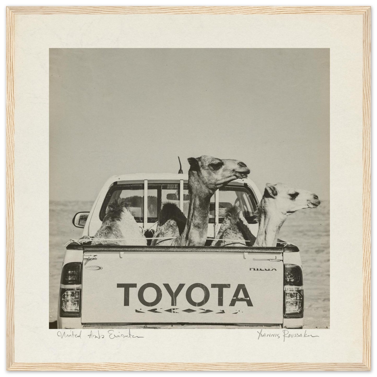 55841291-9bcd-466f-b540-08ee5b386636