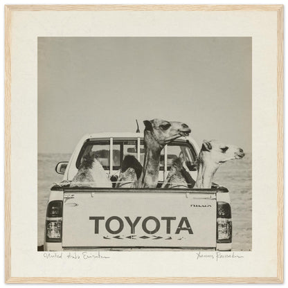 55841291-9bcd-466f-b540-08ee5b386636