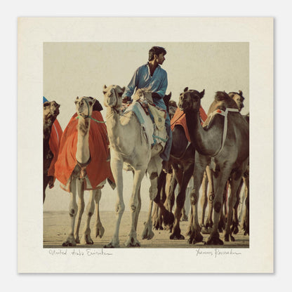 55ebfc6c-7003-499c-9b91-f44ab98bae1e