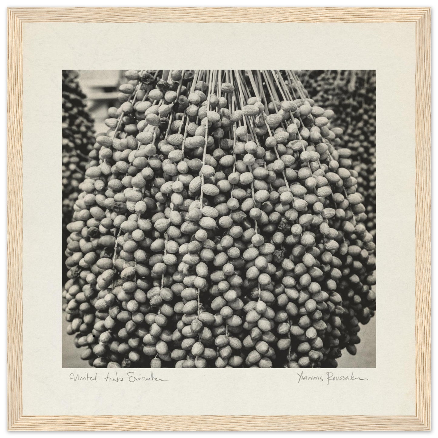 562e2f6b-3eb3-4497-a1b4-5db98d90b6cb