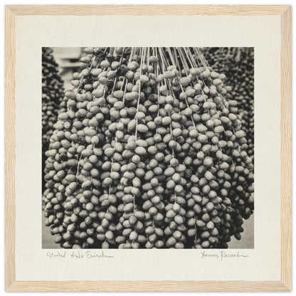 562e2f6b-3eb3-4497-a1b4-5db98d90b6cb