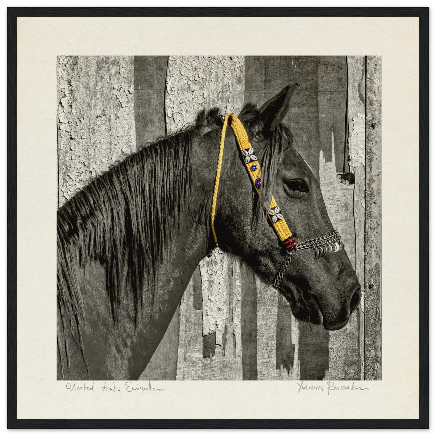 5653ae36-3c36-461b-b781-062722c955b5