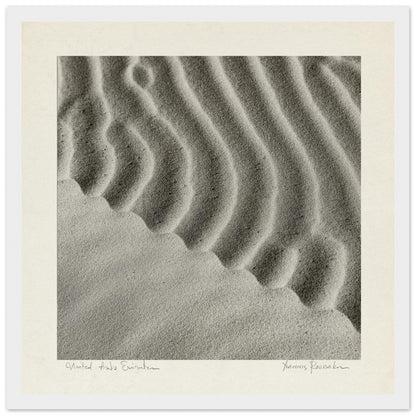 567f0b39-9a4c-4680-9844-76b58bc18e7a