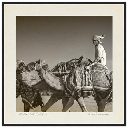 56d31d5d-512e-422f-82c5-80aae1c3b1f7