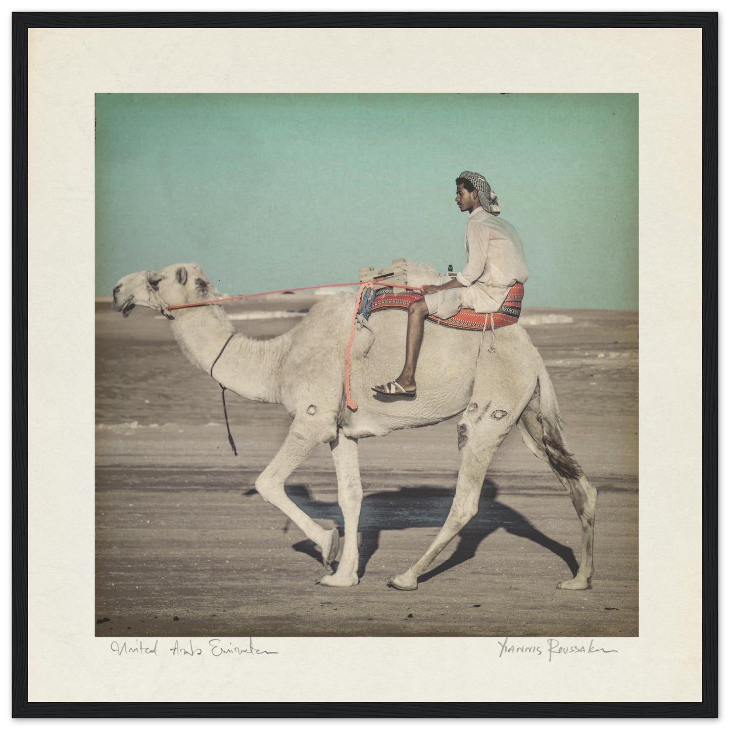 56d62f14-dc69-4e8d-8792-a1841c5e117a