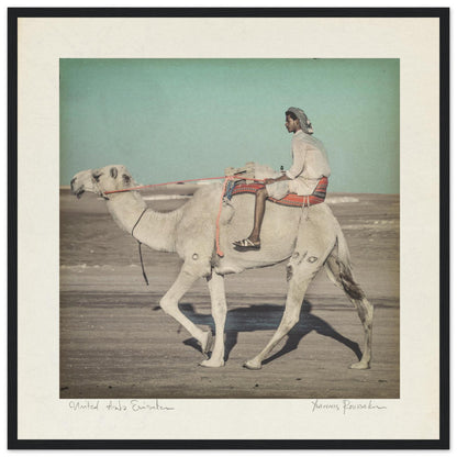 56d62f14-dc69-4e8d-8792-a1841c5e117a