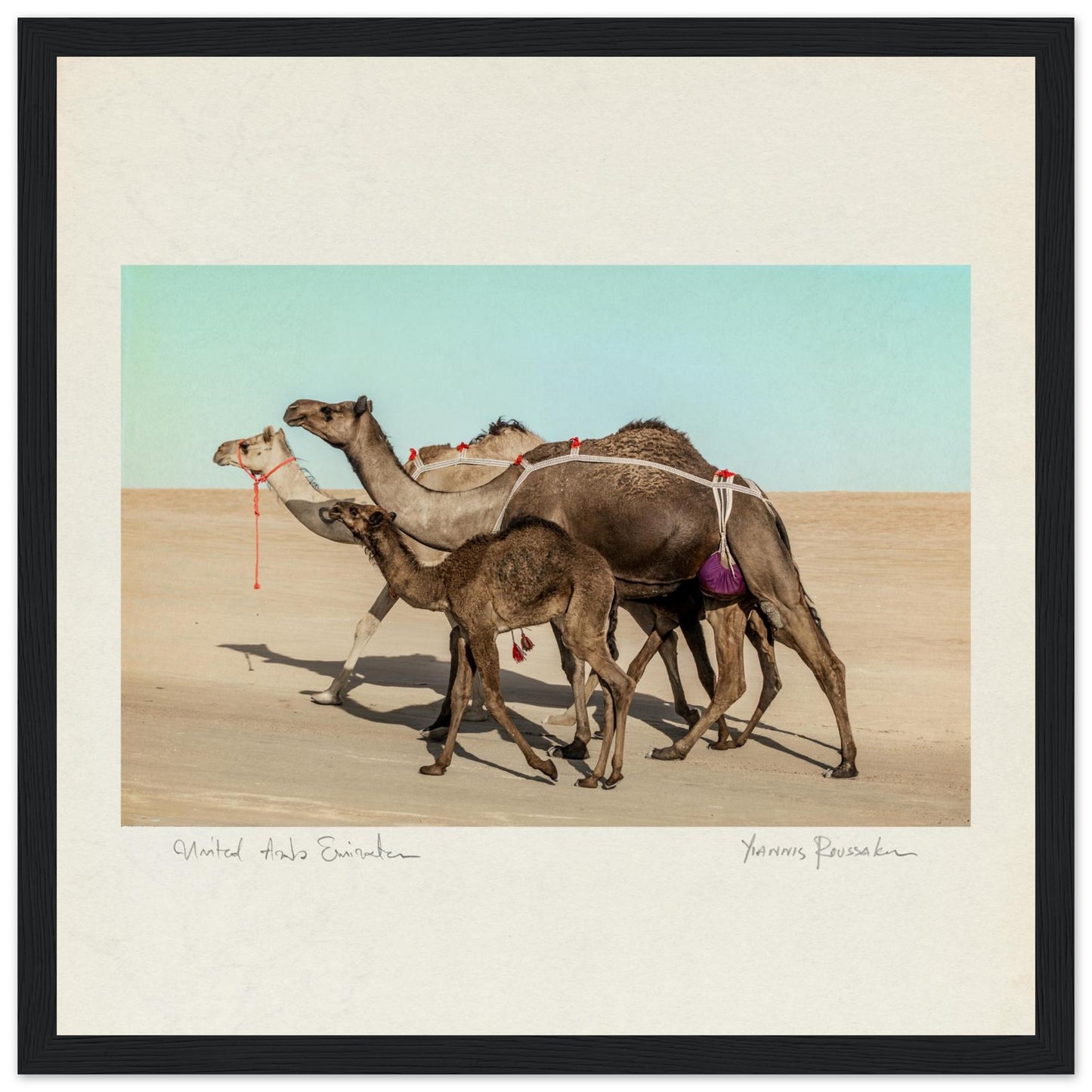 57019e9d-60a1-404e-9f19-014f1cee8768