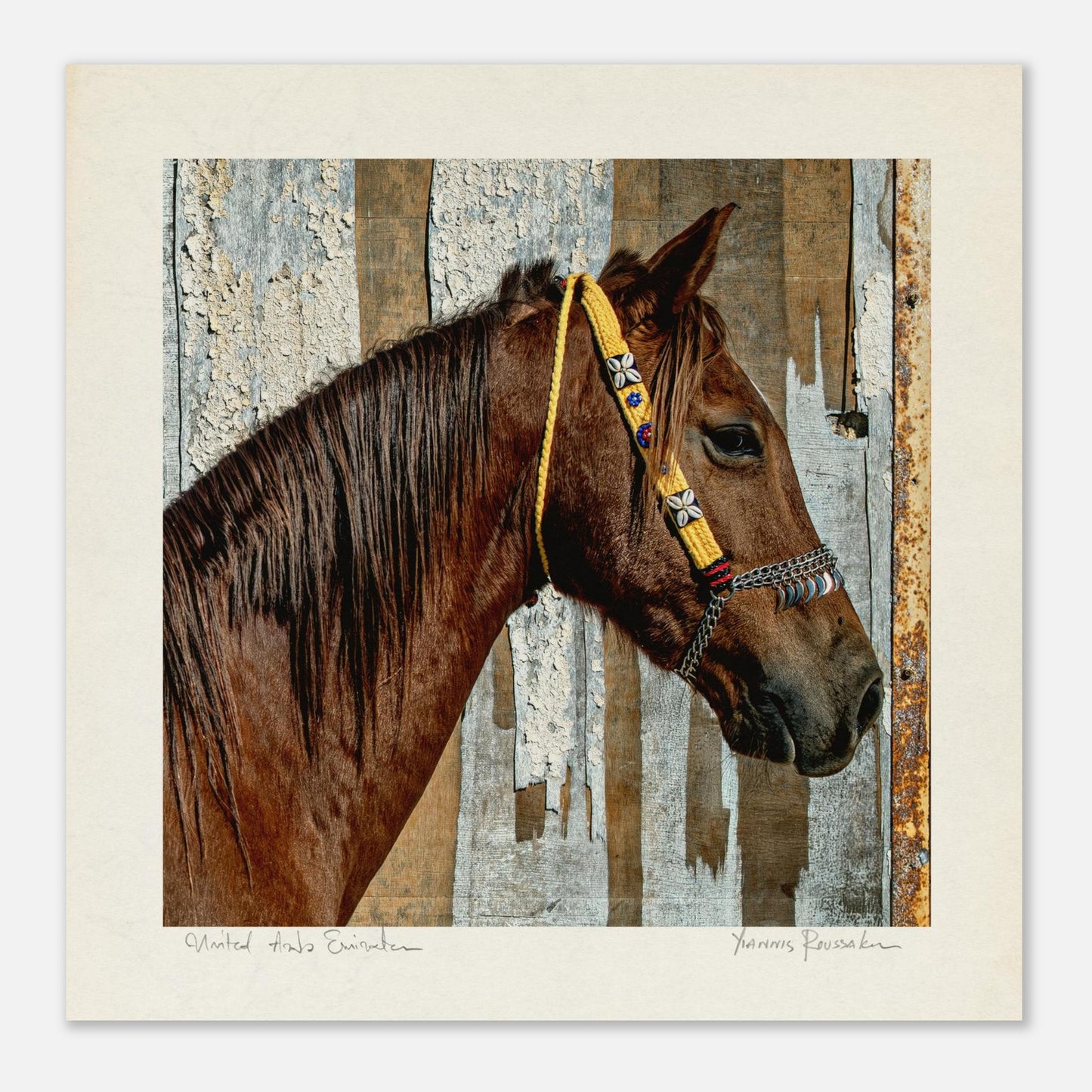 5710c6b5-1afc-42ec-8c8b-5328eebd7bd7