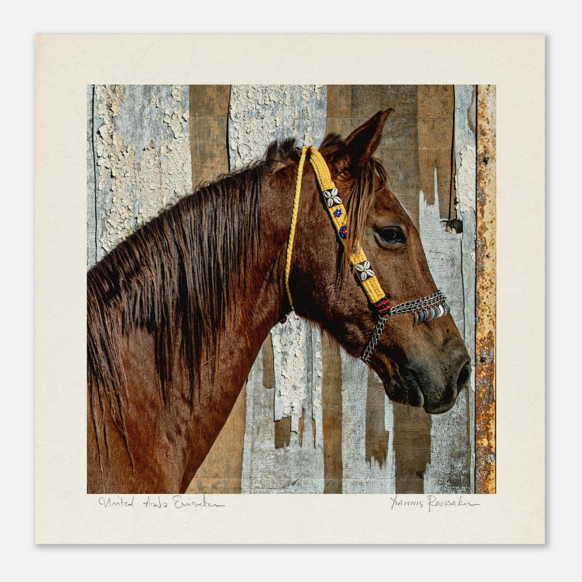 5710c6b5-1afc-42ec-8c8b-5328eebd7bd7