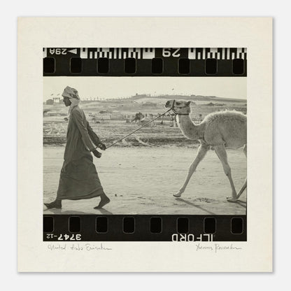 59573bf0-ef63-4d6c-a8b2-8bebd3dd3807