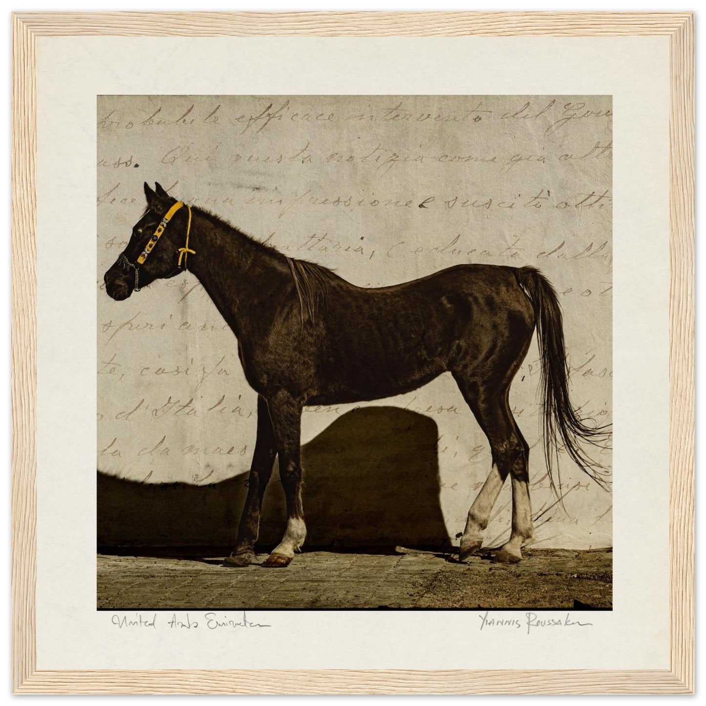 5a026d92-dcb5-4c48-bb08-9238c6560bba