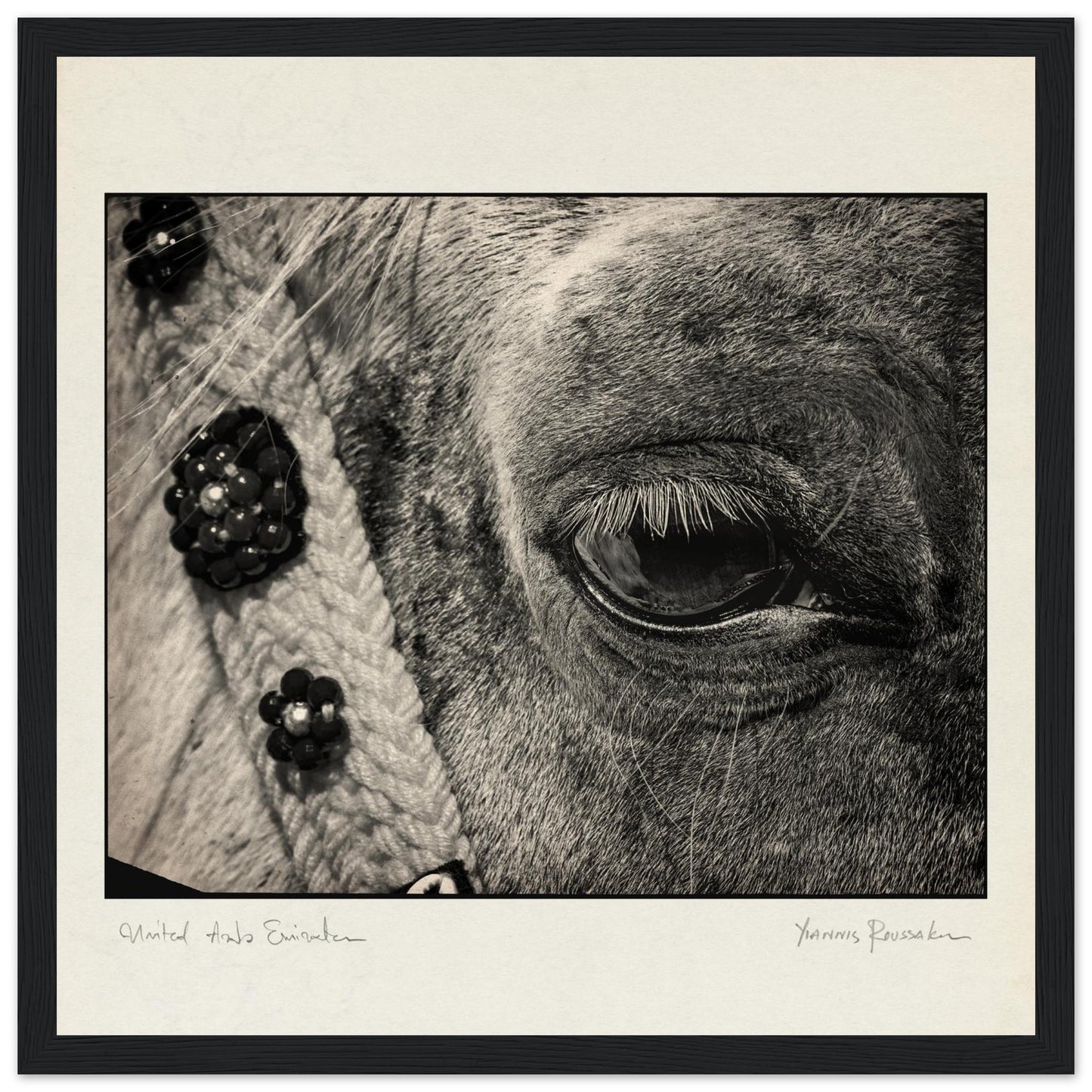 5b2cff46-0631-4b06-ad55-1ab32492fda4