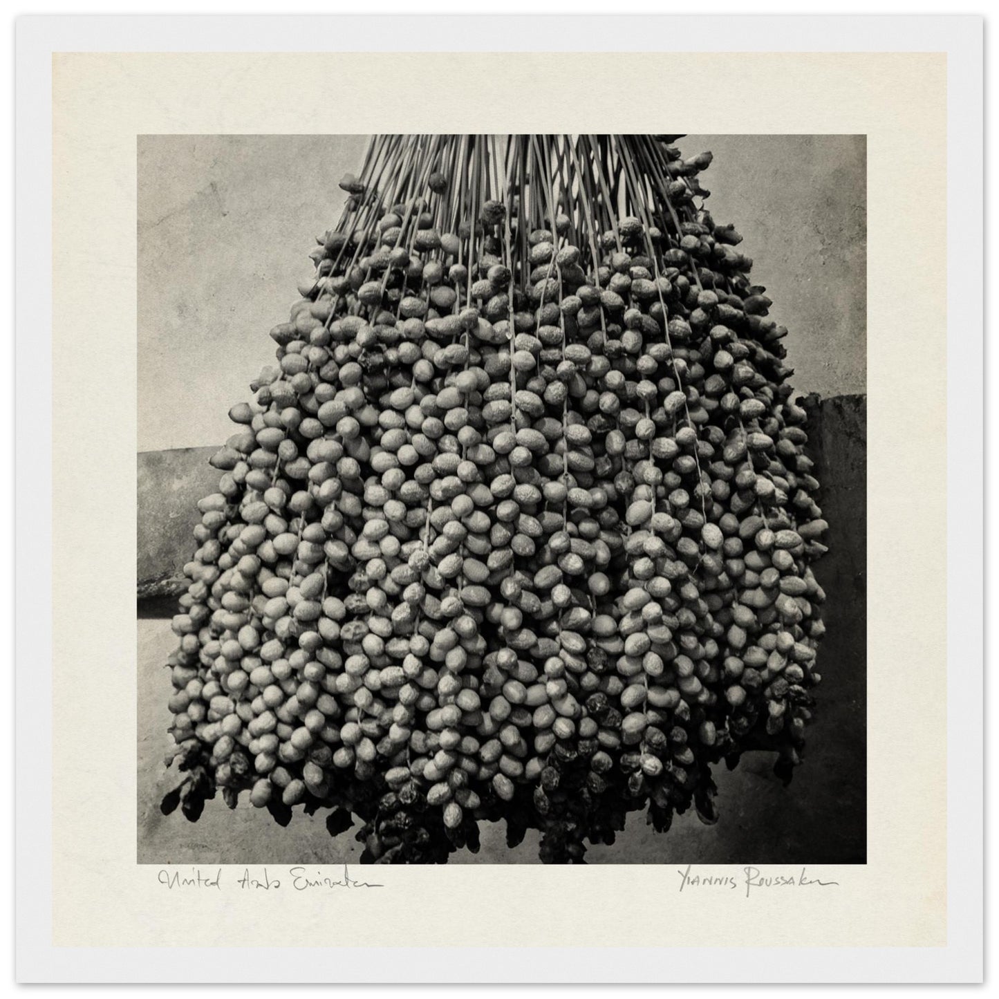 5b9e4c0b-0528-40a3-910a-05e4ba005f05