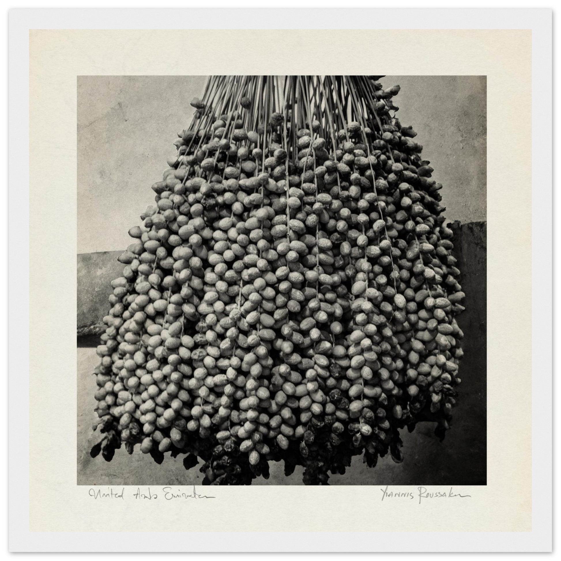 5b9e4c0b-0528-40a3-910a-05e4ba005f05