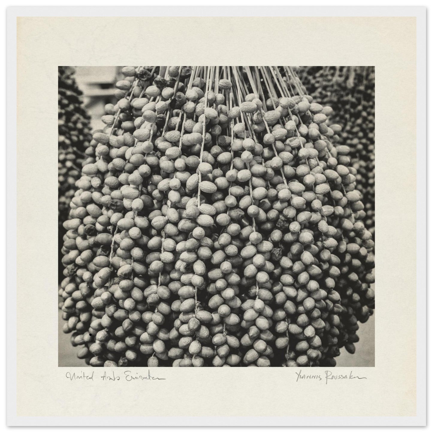 5c752cec-bc4c-42f5-a918-caf873eb651d