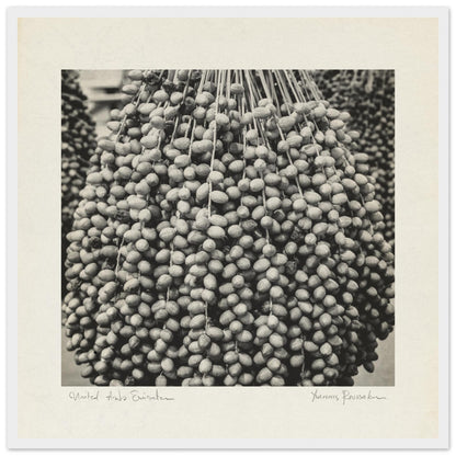 5c752cec-bc4c-42f5-a918-caf873eb651d