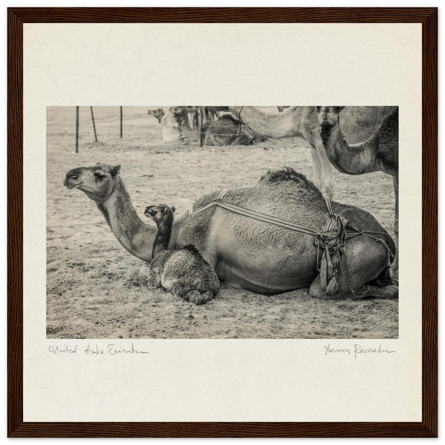 5ce7a0be-a38c-4cf2-83d1-5c741d035be8