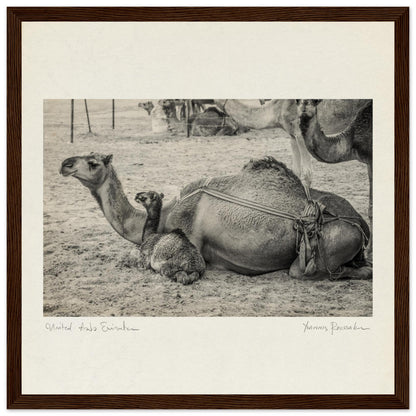 5ce7a0be-a38c-4cf2-83d1-5c741d035be8