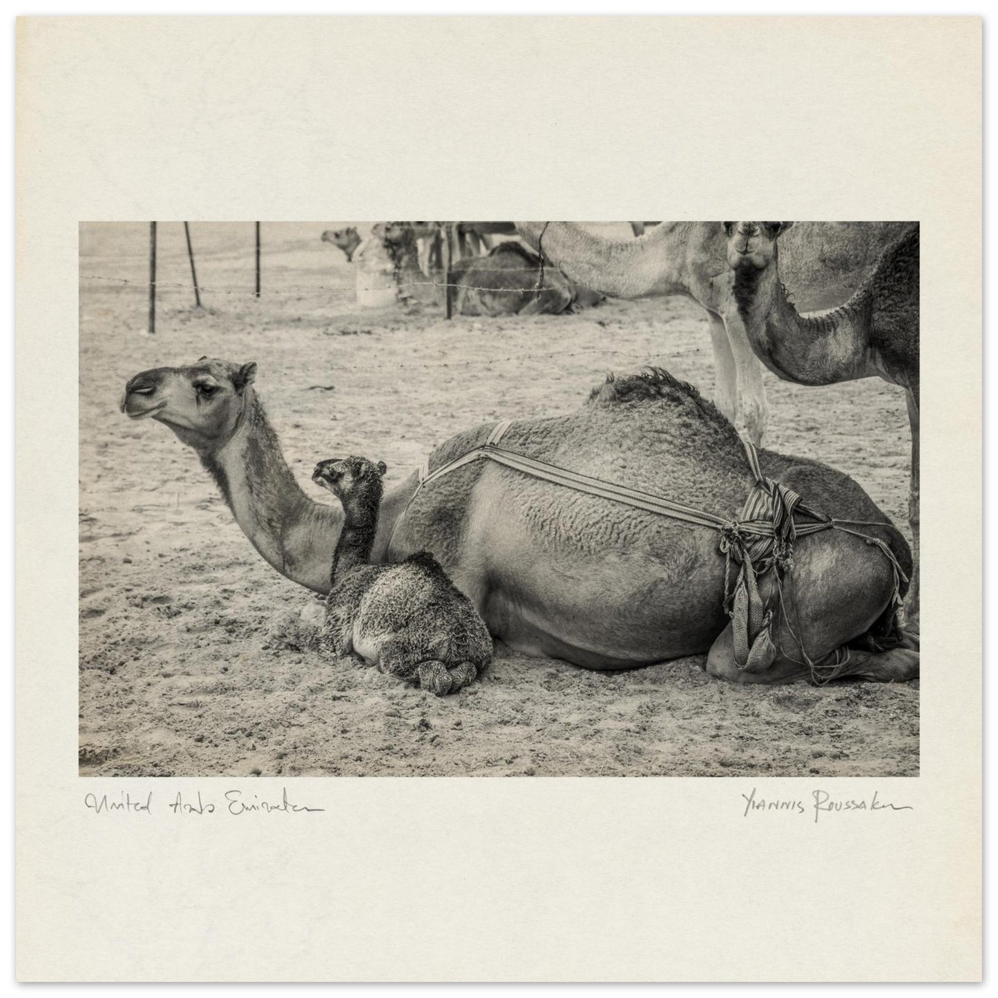 5e042c42-4f00-4321-a87f-eebd4380b1d7