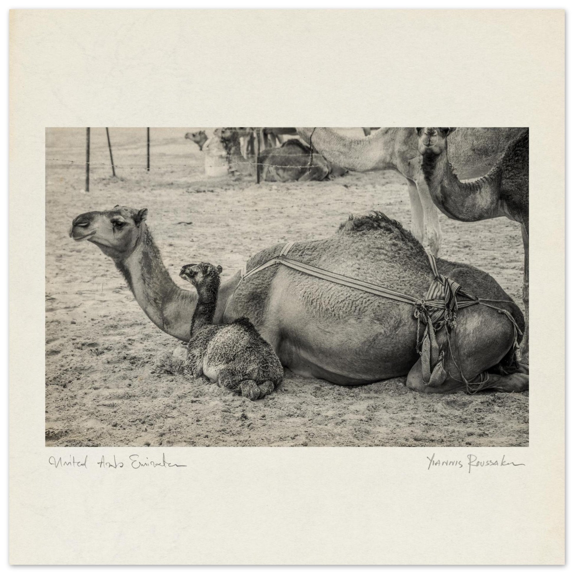 5e042c42-4f00-4321-a87f-eebd4380b1d7