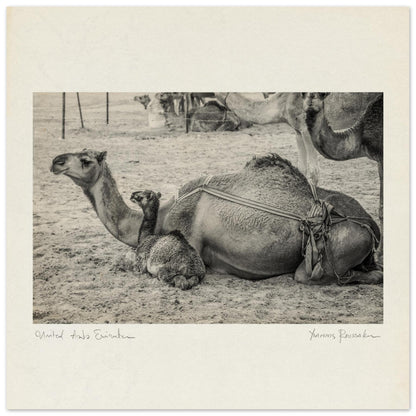 5e042c42-4f00-4321-a87f-eebd4380b1d7