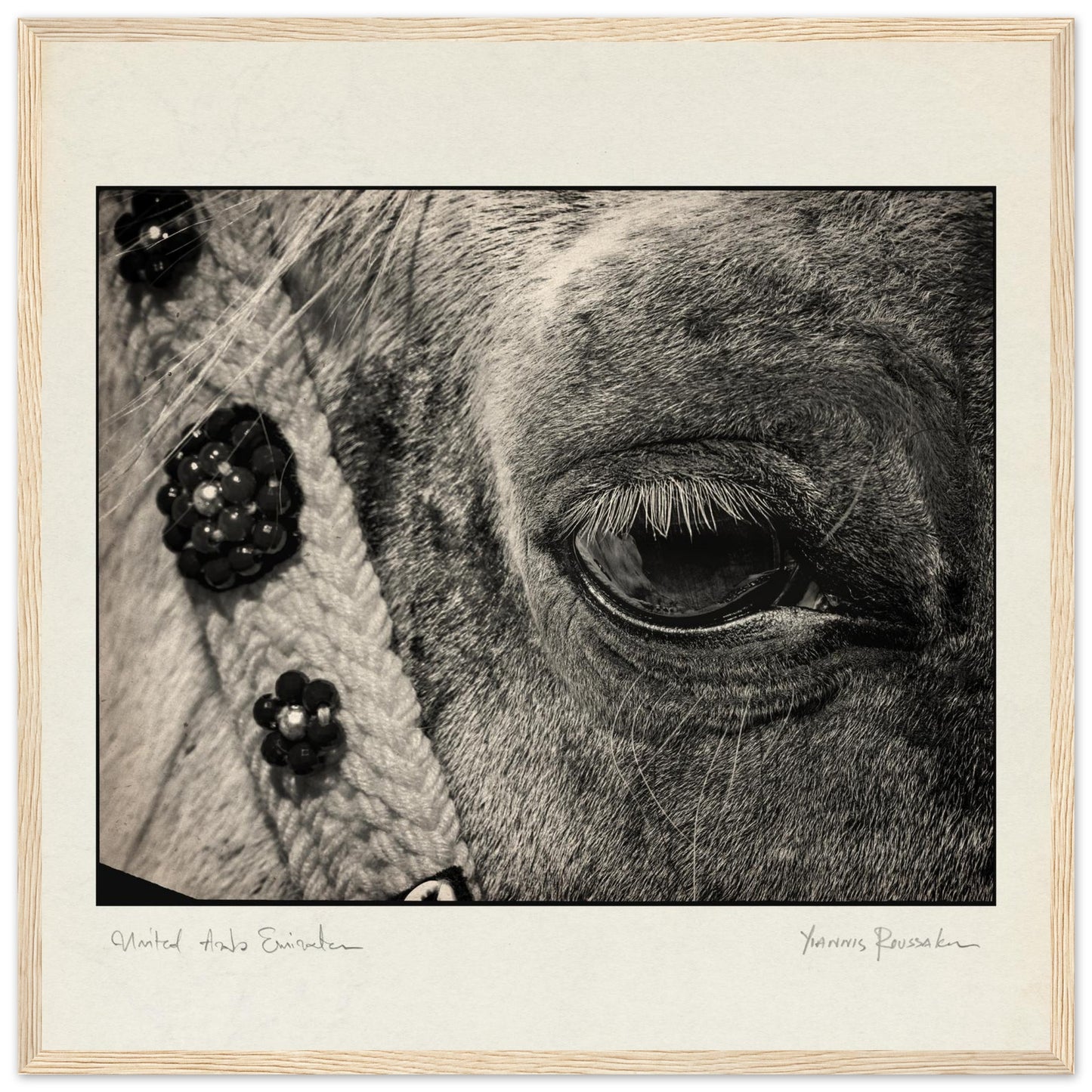 5e0f35c0-0a5c-4eea-ba2c-c38909b97ac1