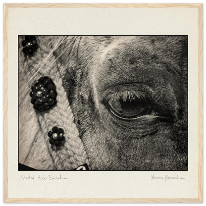 5e0f35c0-0a5c-4eea-ba2c-c38909b97ac1