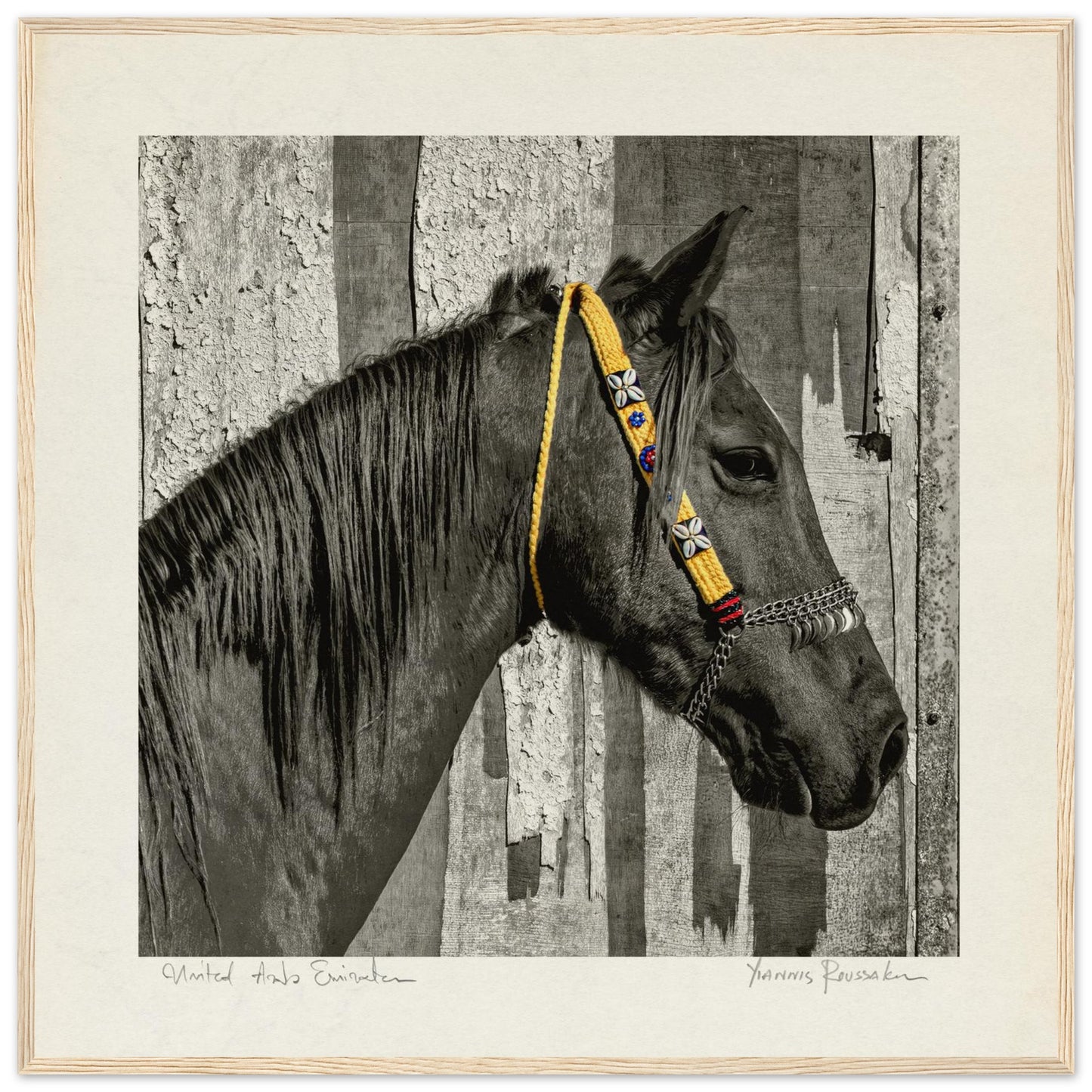 5e47891e-8f2e-4d5a-b450-08b0aeb38d55