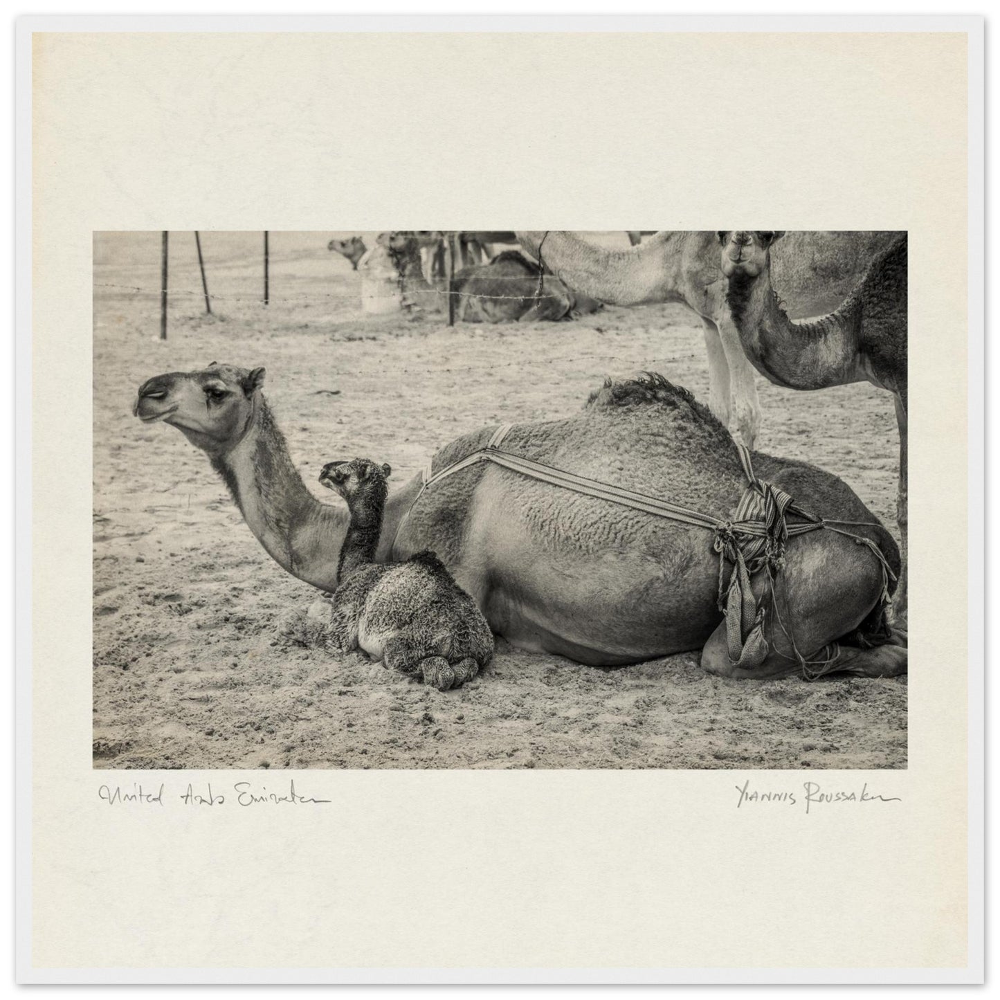 5e7d672d-6c9f-4306-a74c-943438f10b9d