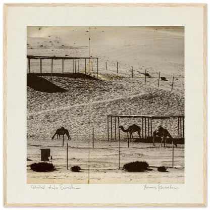 60ac99d0-bcad-4f3a-9c89-e01abe96c862