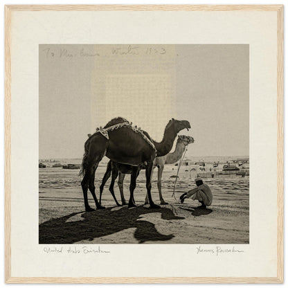 628dae20-40bb-4f98-a80f-bbbf5aa21d88