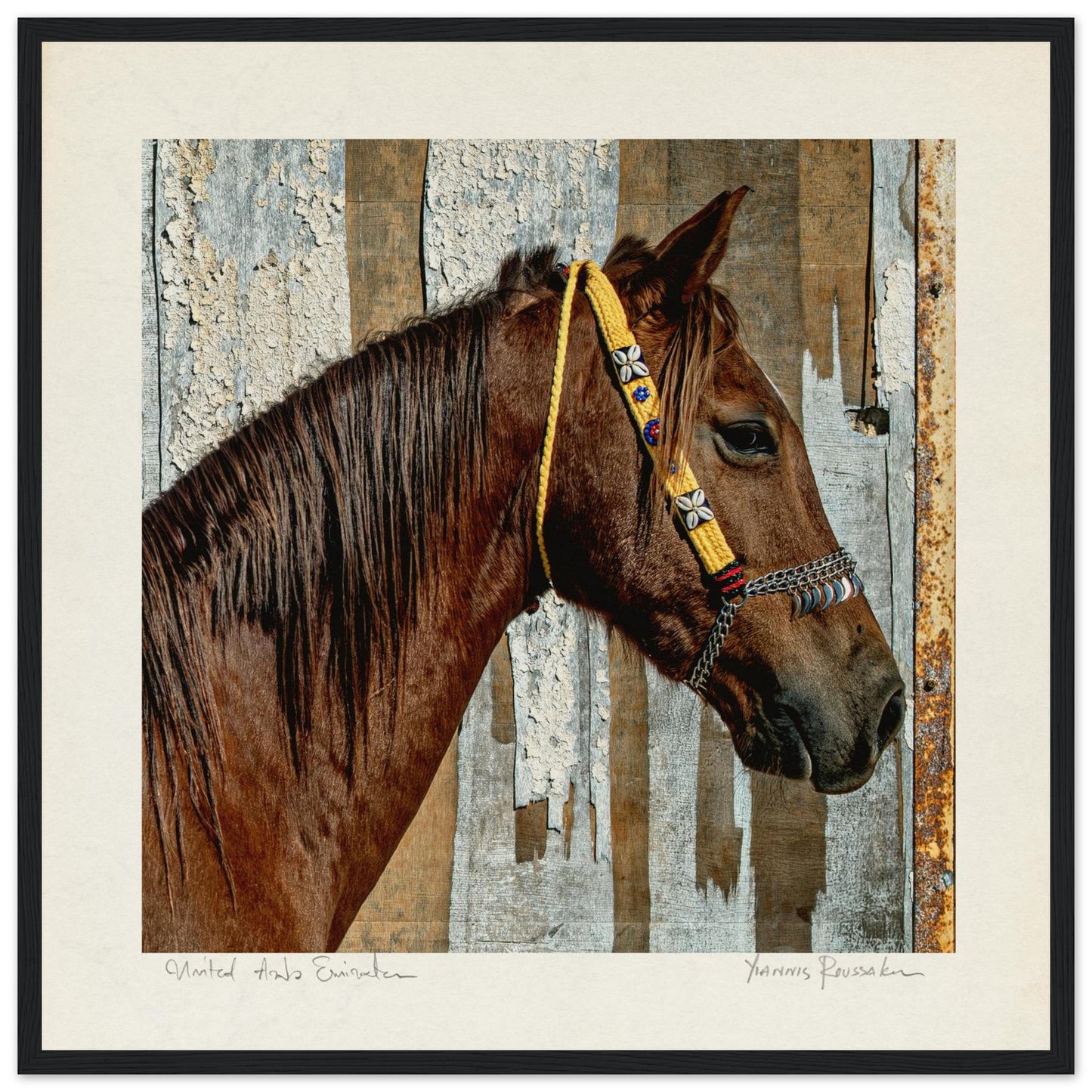 629b1a75-9490-4d4e-9f28-58d09513d621