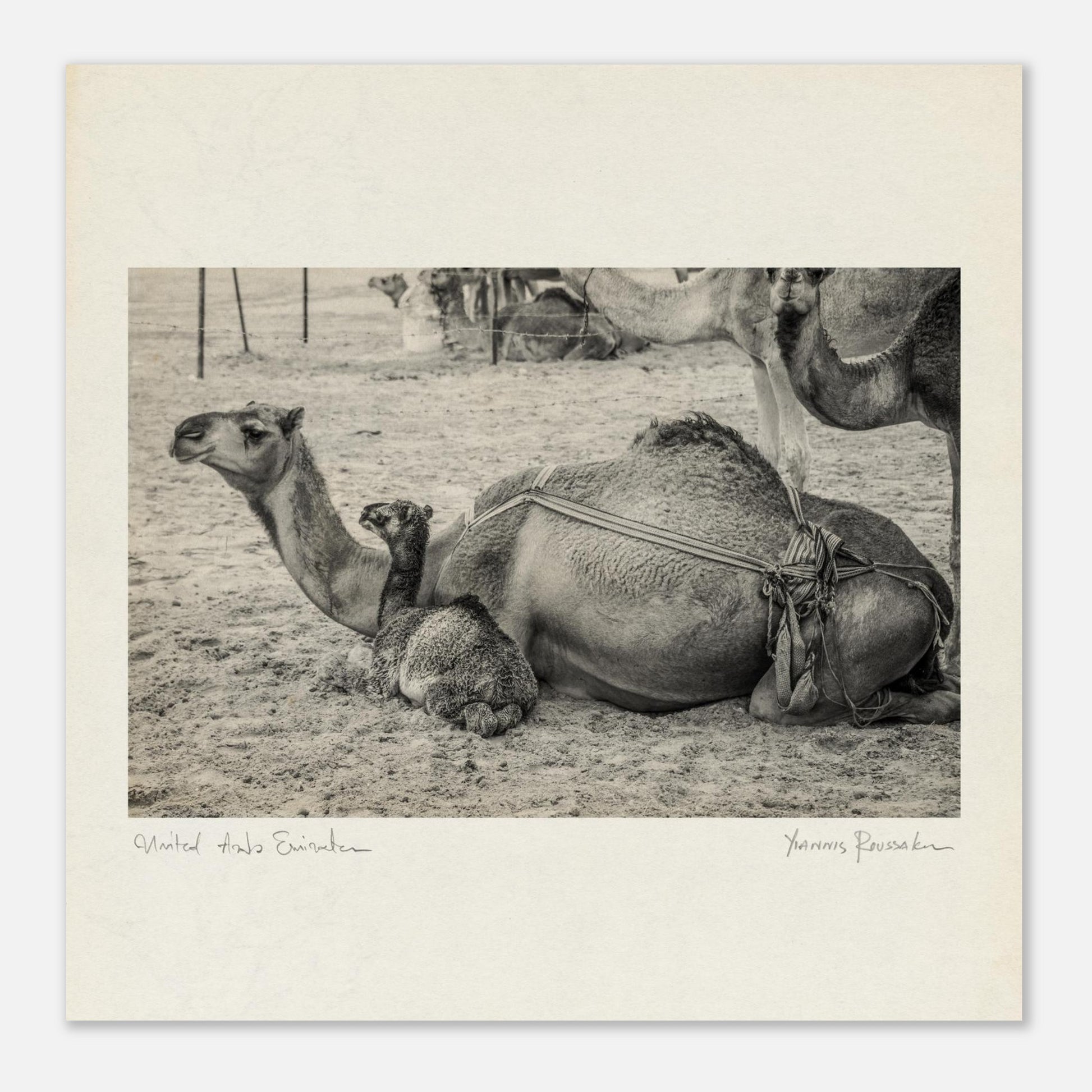 631ce115-e6d3-40e1-92ec-e734486ce77d