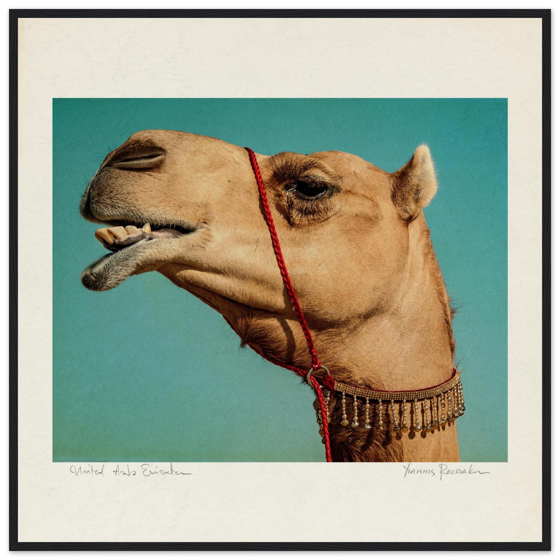 6391d7a5-9c51-498e-8b29-8b52e830ae55