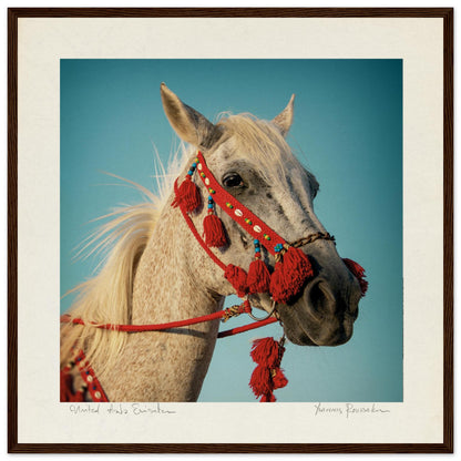 65d1afbb-4197-44a7-8c9a-30410f1a8e62