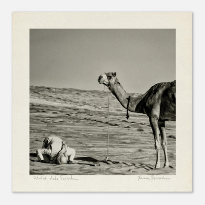 66a9b3f8-790a-4da8-9cbf-bcda5bb4e129